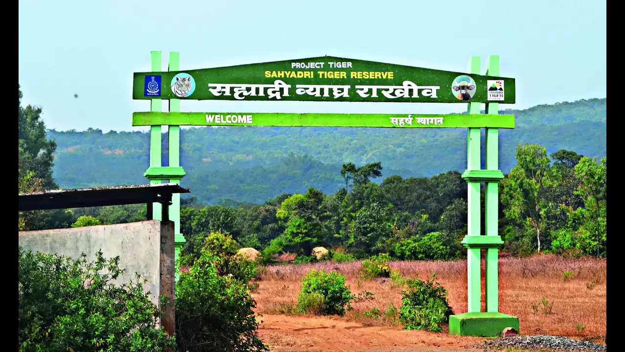 Sahyadri Tiger Reserve Kolhapur Recruitment